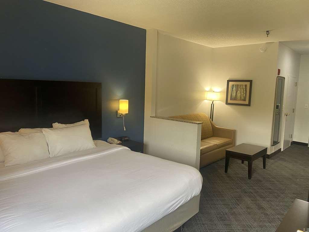 Comfort Inn & Suites Trussville I-59 Exit 141 Rum bild